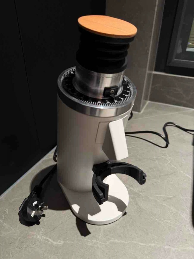 Macinacaffè Elettrico Professi - Coffee Grinder Burr Flat recensione e prezzo